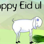 Bakra Eid Covers