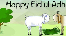 Bakra Eid Covers