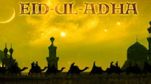 Eid ul Adha Covers