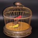 Birds in Cage Images