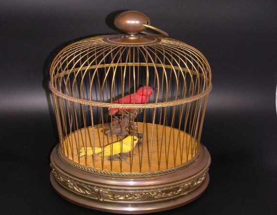 Birds in Cage Images