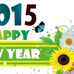 Beautiful New Year HD Wallpapers