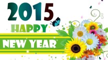 Beautiful New Year HD Wallpapers