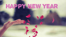 Beautiful New Year Pictures