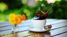 Good Morning Flowers Pics
