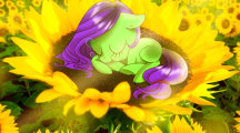 Good Morning Flowers Wallpapers