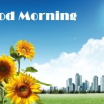 Good Morning Photos Flowers