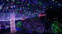 New Christmas Lights Wallpaper