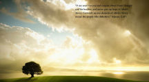 Quran Quotes Islamic Photos