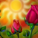Sun Rose Wallpapers