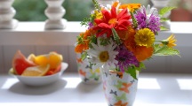 Beautiful Flowers HD Wallpapers