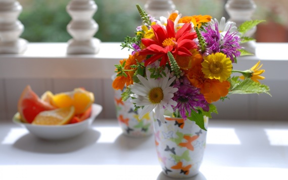 Beautiful Flowers HD Wallpapers