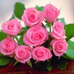 Bunch Of Pink Roses image