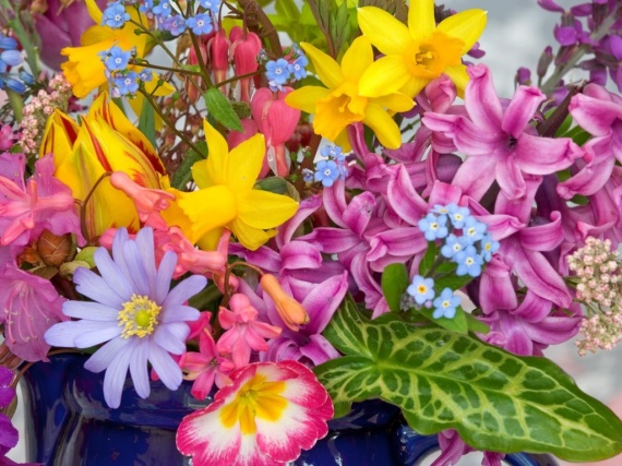 Spring Flowers in Garden Wallpaper
