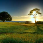 Beautiful Nature Wallpapers HD