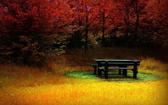 Dating Point HD Wallpaper