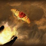 Heart Fly Valentines 2015 HD Wallpapers