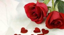 Valentine Flowers HD Images Free Download