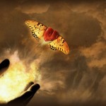 Heart Fly Valentines 2015 HD Wallpapers