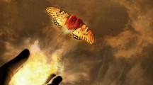 Heart Fly Valentines 2015 HD Wallpapers