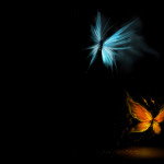 Love Is Like Butterfly HD Wallpapers