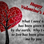 Love & Valentines Day Quotes