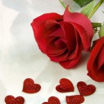 Valentine Flowers HD Images Free Download