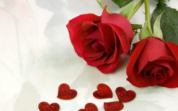 Valentine Flowers HD Images Free Download