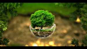 Earth Day 2015 Wallpapers