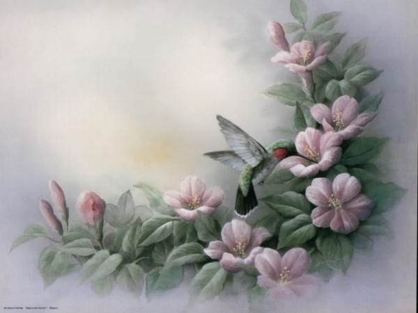 HummingBird Painting Wallpapers HD Pictures