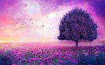 Most HD Wallpapers