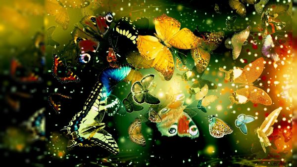 Most 3D HD Wallpapers