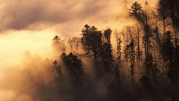 Most HD Best Wallpapers