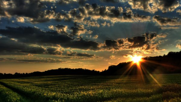 Most HD Wallpaper