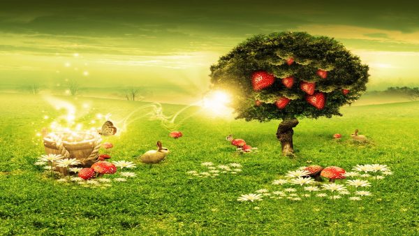 Top Wallpapers HD images