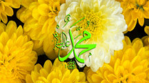 Beautiful Muhammad PBUH PIctures