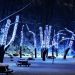 Christmas Lights HD Wallpapers