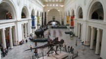 Chicago Field Museum Wallpapers