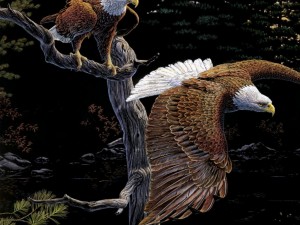Beautiful Eagles Painting