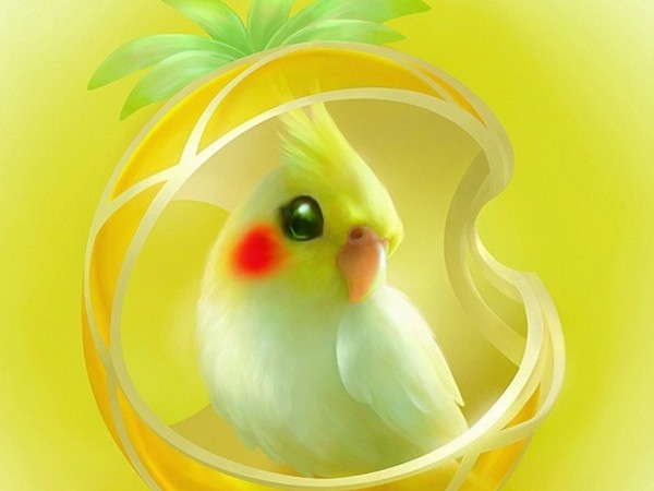 3D abstract yellow Parrot Wallpapers HD Pictures