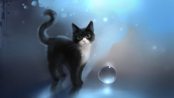 Cat Wallpaper
