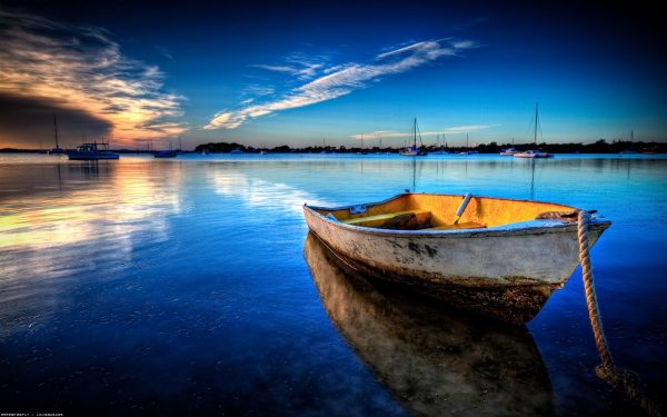 Cute HD Wallpapers