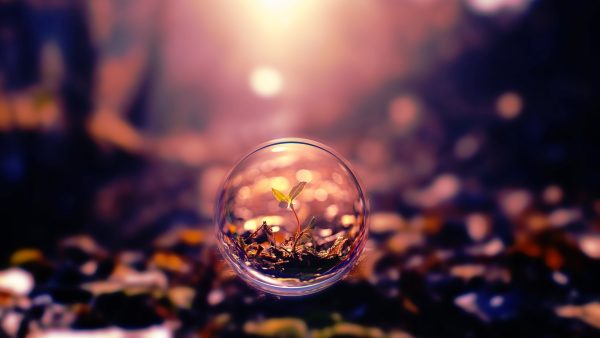 Full HD 1080p Wallpapers