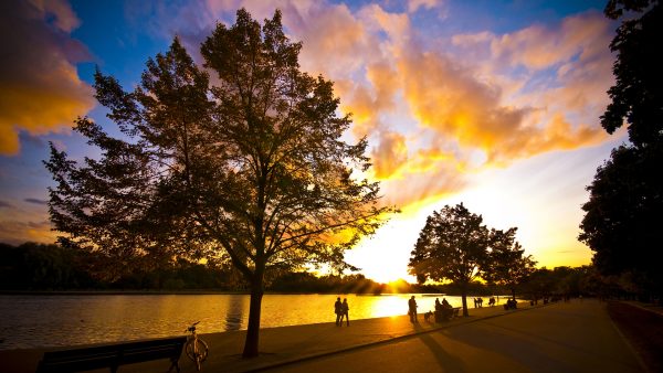 Sweet Full HD Wallpapers & images