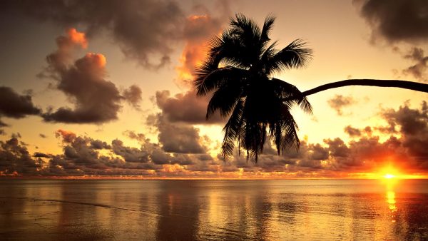 Wallpaper Sunset