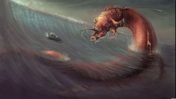 Sea Animals Pictures